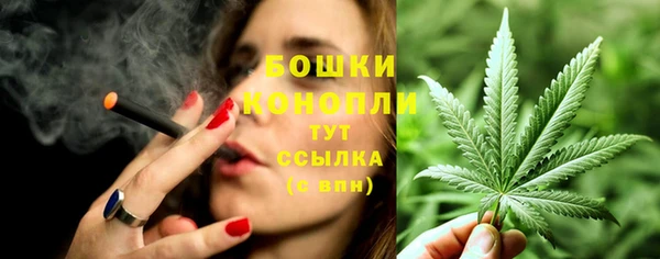 прущие грибы Арсеньев