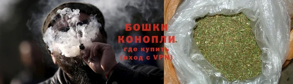 прущие грибы Арсеньев