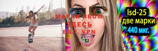 прущие грибы Арсеньев