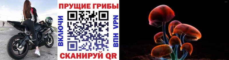 магазин    Тимашёвск  Галлюциногенные грибы GOLDEN TEACHER 